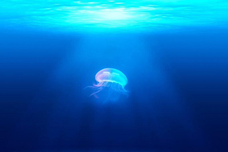 Deep Dives
