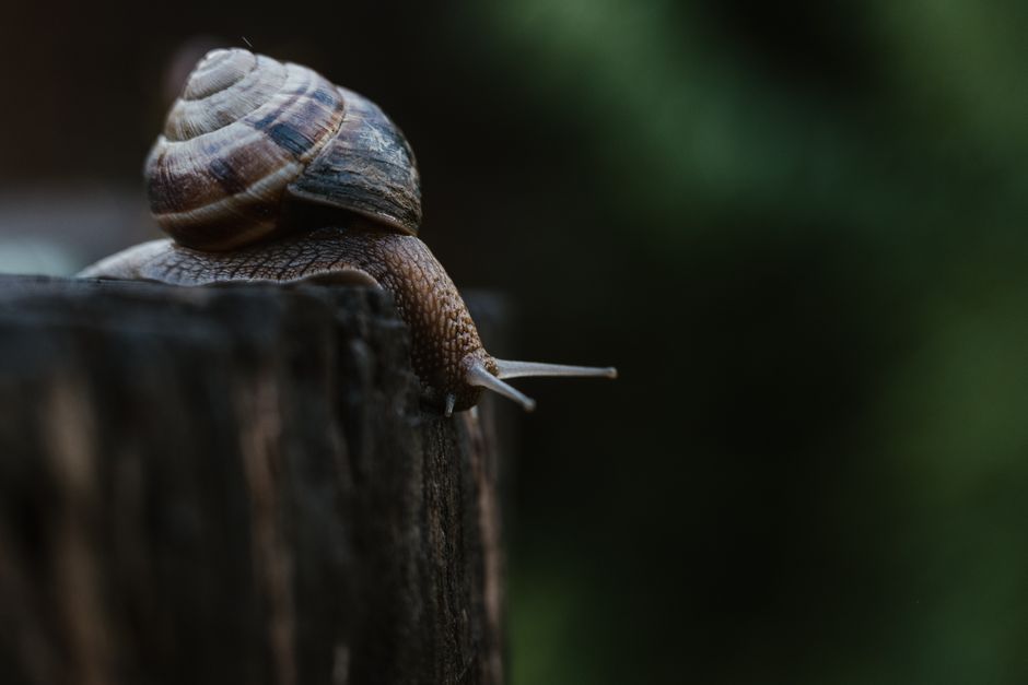 Log4Shell Exploit Costs Enterprises $10 Million on Average
